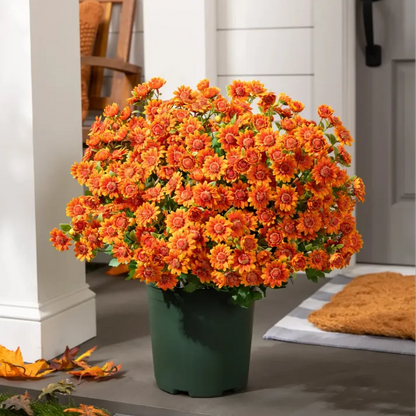 💥Last Day Each - Artificial Outdoor Sunset Mums Flowers -  Waterproof, Windproof（副本）