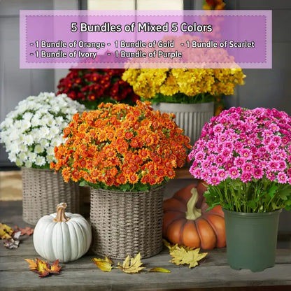 💥Last Day Each - Artificial Outdoor Sunset Mums Flowers -  Waterproof, Windproof（副本）
