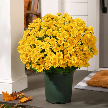 💥Last Day Each - Artificial Outdoor Sunset Mums Flowers -  Waterproof, Windproof（副本）